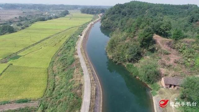 酒埠江灌区科学调度　保障40余万亩农田的灌溉用水